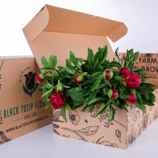 A cardboard box filled with Peony Red flowers and lush green foliage, showcasing their natural beauty.