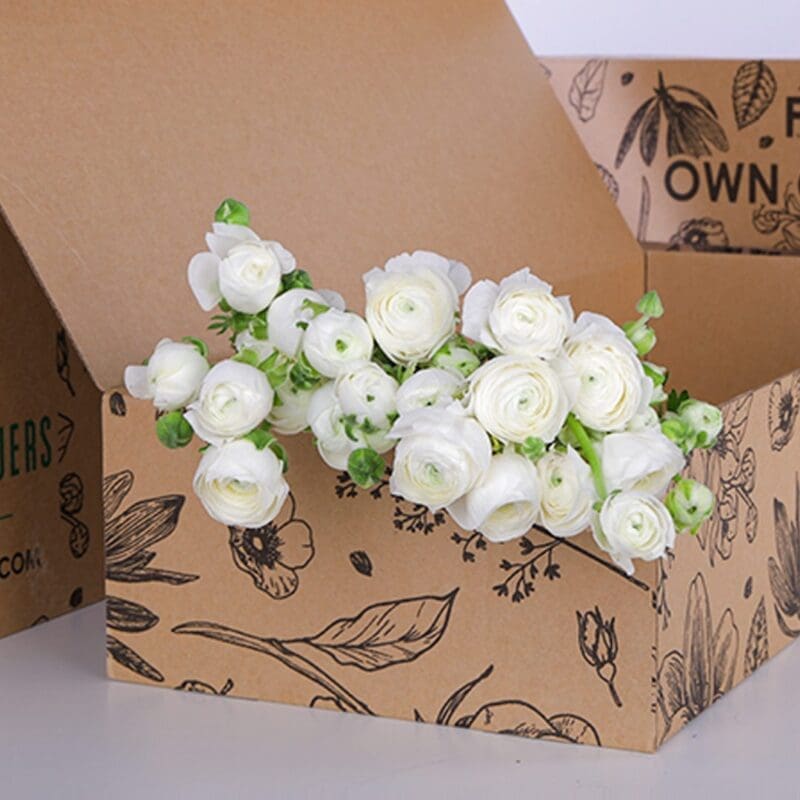 Ranunculus White (3) Ranunculus White