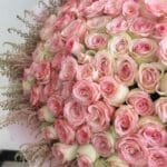 Sovereign Power Bouquet - 150 Stems 3 Sovereign Power (3)