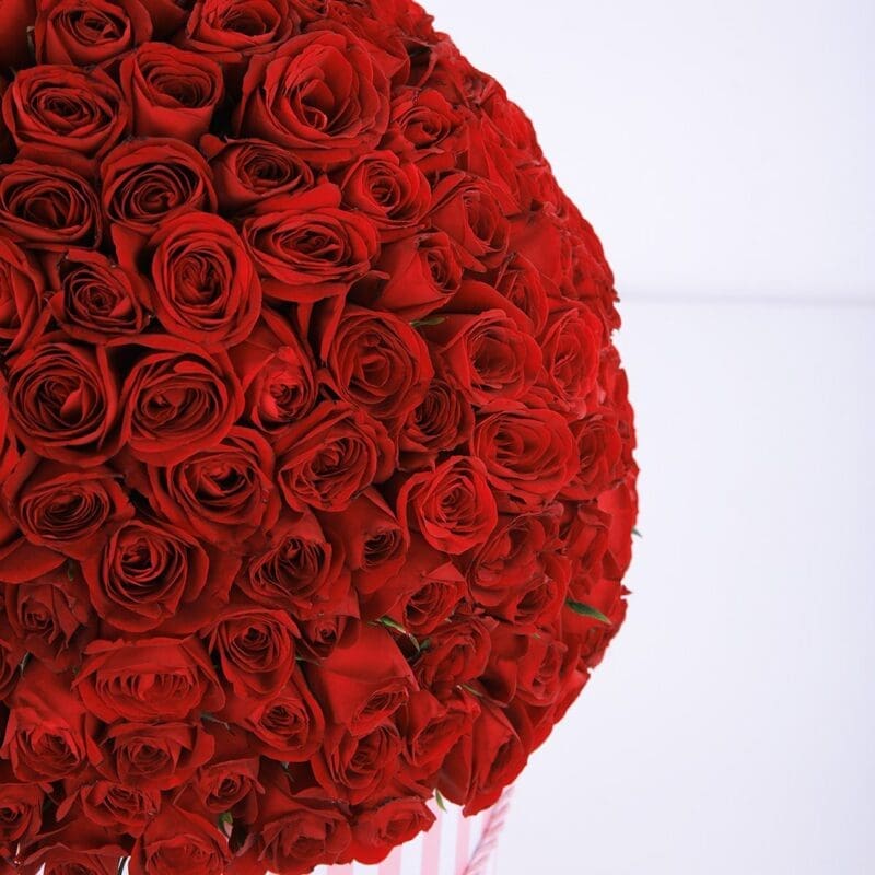 Sparkling Red (2) Sparkling Red flower box by Black Tulip Flowers