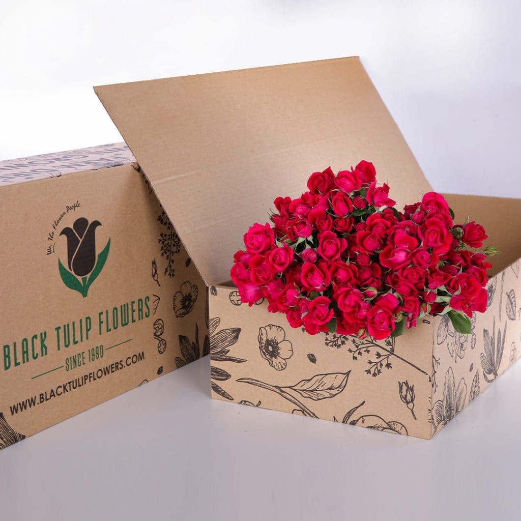 Spray Roses Dark Pink with vase (1) Spray Roses Dark Pink with vase