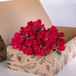 Spray Roses Dark Pink with vase 2 Spray Roses Dark Pink with vase (2)