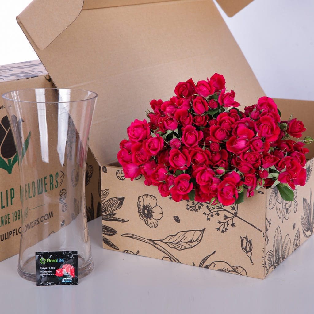 Spray Roses Dark Pink with vase (3) Bunch of dark pink spray roses in a box with glass vase and flower food.