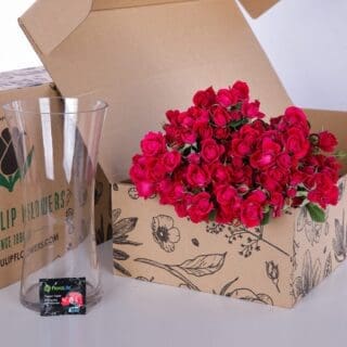 Bunch of dark pink spray roses in a box with glass vase and flower food.