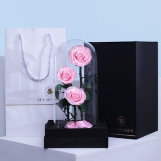 A dome-shaped transparent box set featuring a trio of light pink forever roses.