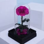 Single Purple Forever Rose 1 01