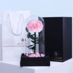 Single Pink Forever Rose 2 01