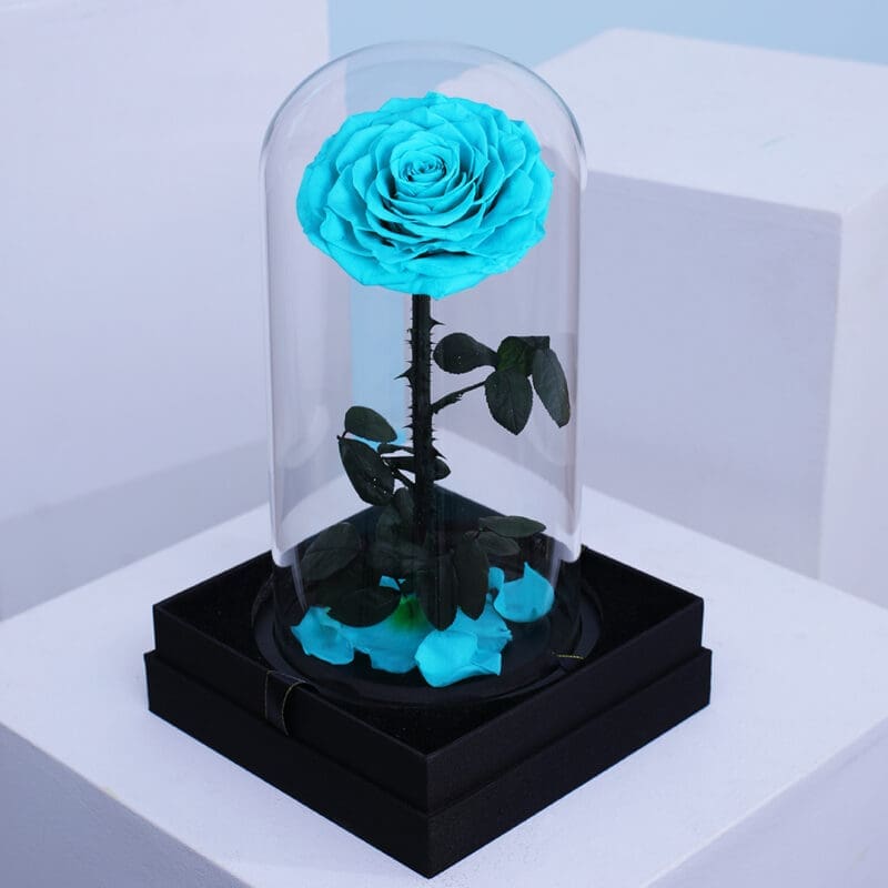 02 A single blue forever rose in a glass dome arrangement.