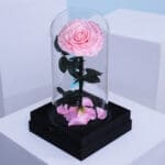 Single Pink Forever Rose 1 02