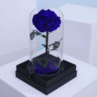 BTF Home 29 Elegant single dark blue preserved roses arranged in a clear dome box.