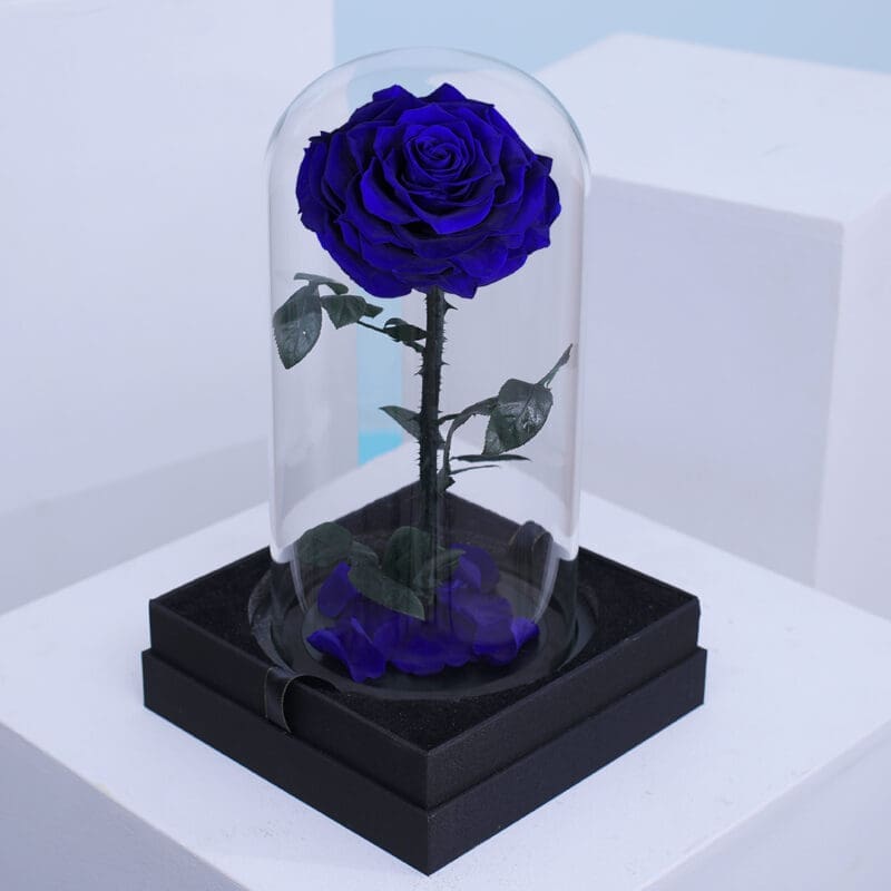 02 Elegant single dark blue preserved roses arranged in a clear dome box.