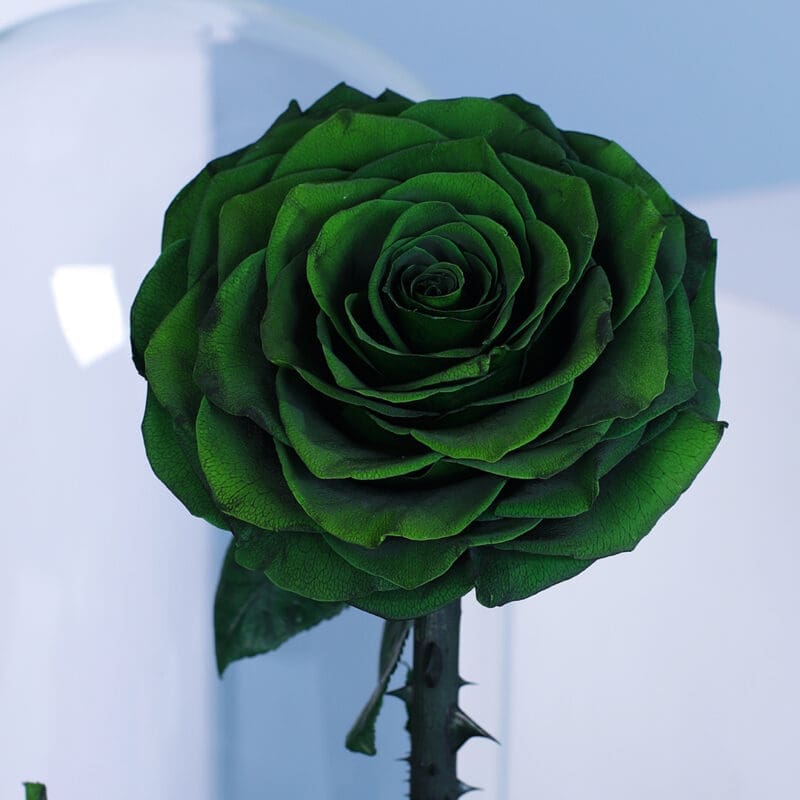 02 02 7