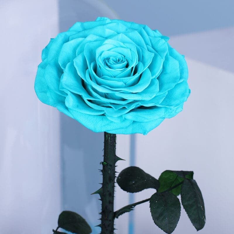03 03 9
