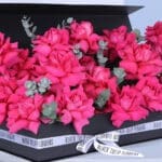 Compassionate Surprise Grand Box 4 04