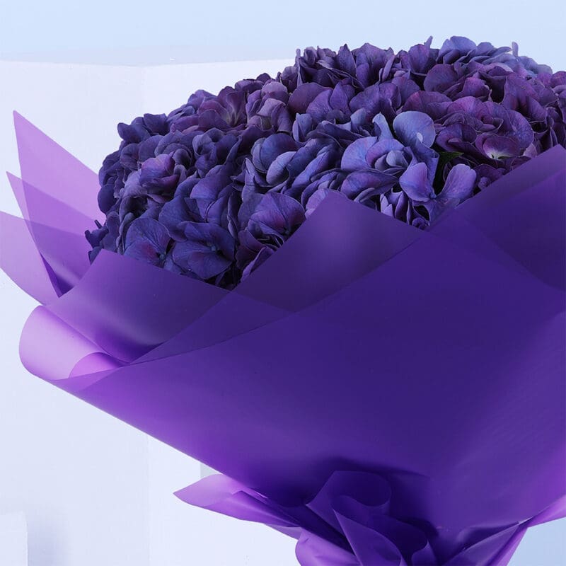 04 33