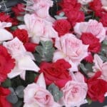 Romantic and Charming Surprise 5 5 (4)