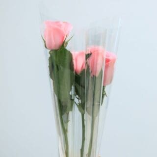 Three pink roses wrapped in clear plastic.