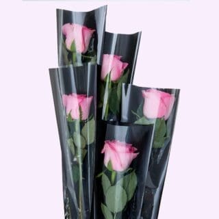 Bundles of pink roses wrapped in plastic.
