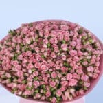 Enticing Pink Spray Rose Bouquet 3 2 (36)