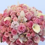 The Pink Shades - Rose Box 2 4 (101)