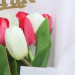 Eid Vibrant Tulips 3 eid-vibrant-tulips_2026_03