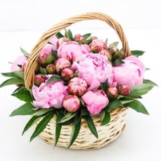 A wicker basket filled with pink peonies and greenery.
