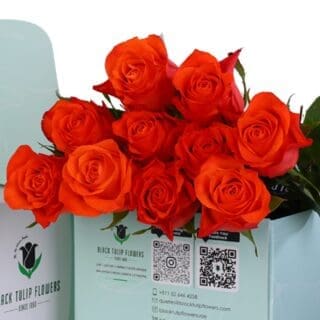 Red Roses Online Zoom in