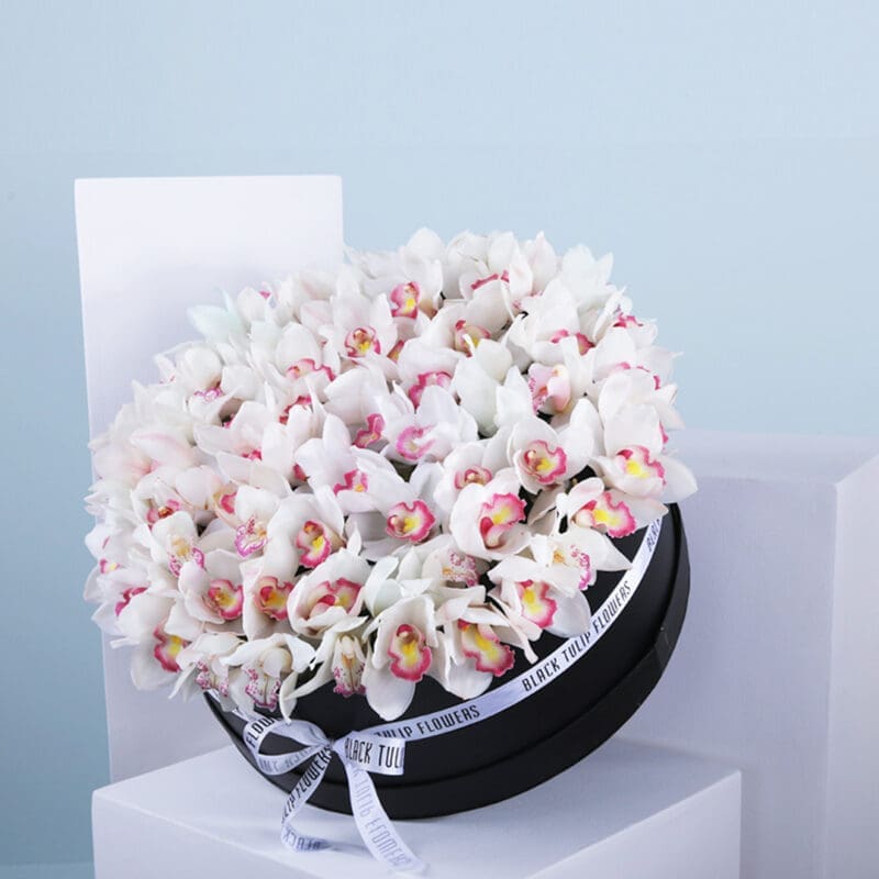01 White orchid arrangement in a round black hat box.