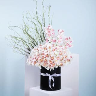An arrangement of white orchids with pink centers, presented in tall black hat box, accented with long, flowing willow branches.- an elegant birthday gift