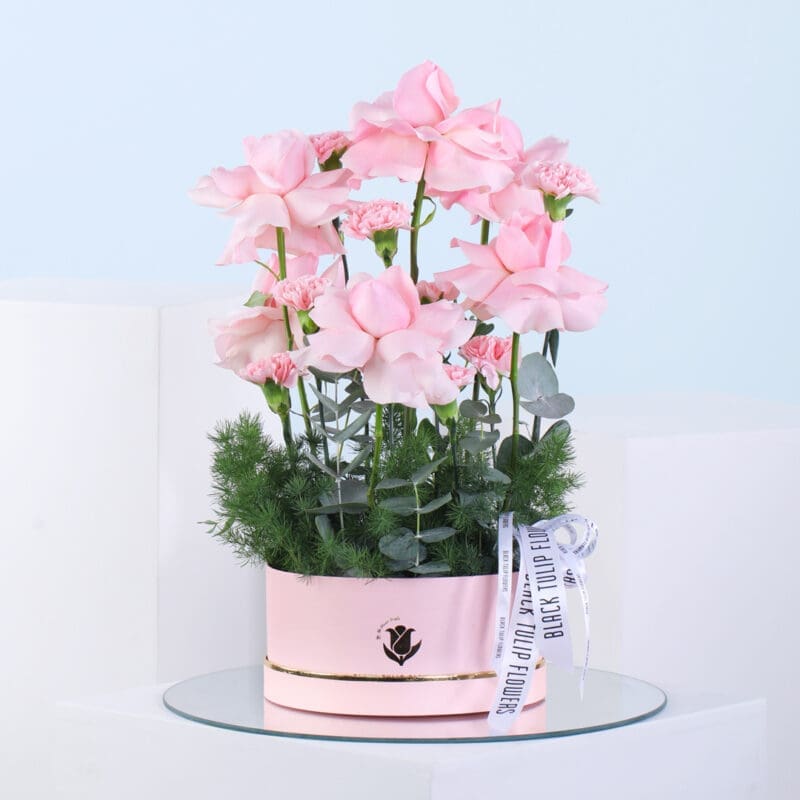 01 A light pink round box filled with 10 carnations, 10 roses, asparagus, and eucalyptus along with a white ribbon.