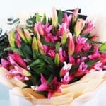 Stargazer Pink Lilies 2 02
