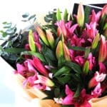 Stargazer Pink Lilies 4 04