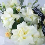 Pure Baby Rose 3 02