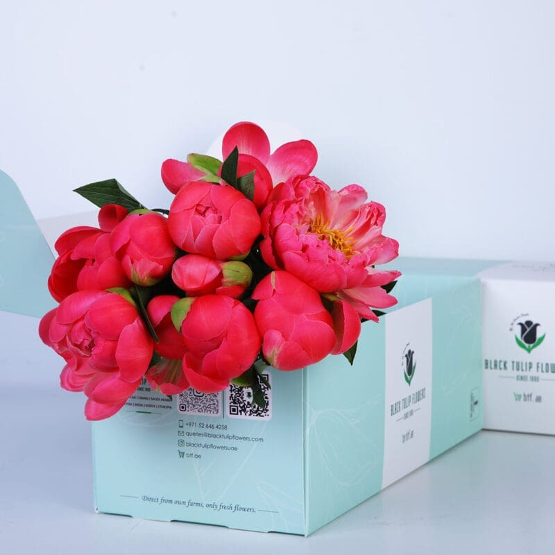 02 A bouquet of bright pink peonies in a light blue box with the Black Tulip Flowers logo.