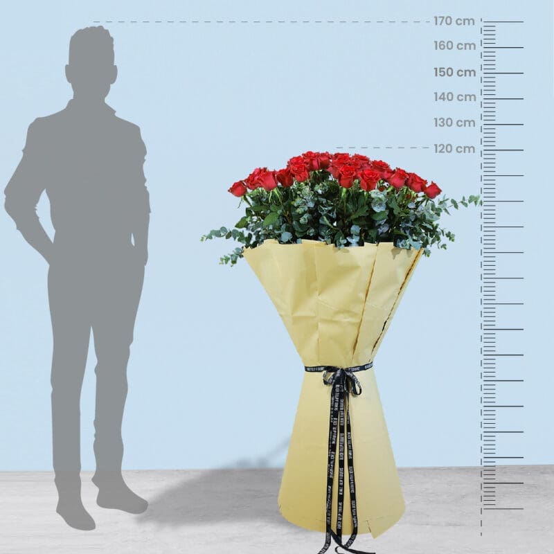 Measurement-01-01 Measurement 01 01