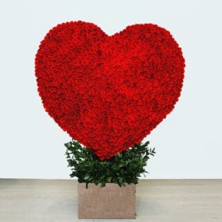 Heart-shaped arrangement of 1000 stem red roses in a rustic planter- perfect romantic gift