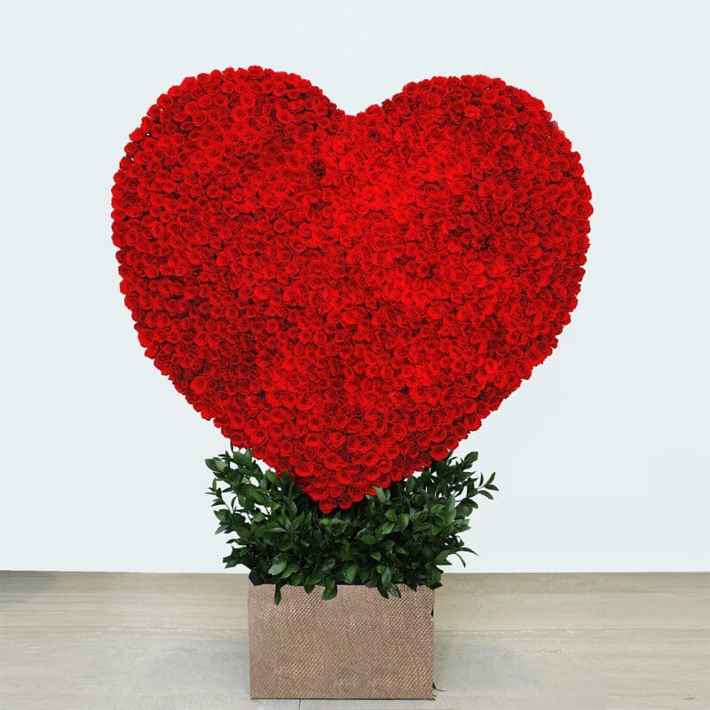 01 Heart-shaped arrangement of 1000 stem red roses in a rustic planter- perfect romantic gift
