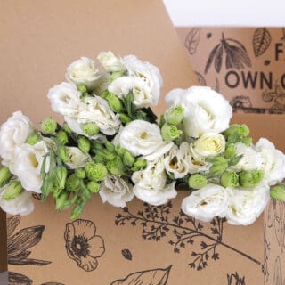 Lisianthus white