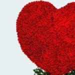 Personalized Red Roses Heart 3 03