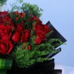 Signature of Dark Love 4 04
