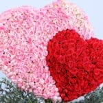 Beats of Love Twin Heart 3 04