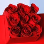 Red Roses in Red Cube Box 2 02