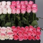 Infinite Love Rose Grand Box 3 02.04 (1)