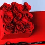 Red Roses in Red Cube Box 4 04