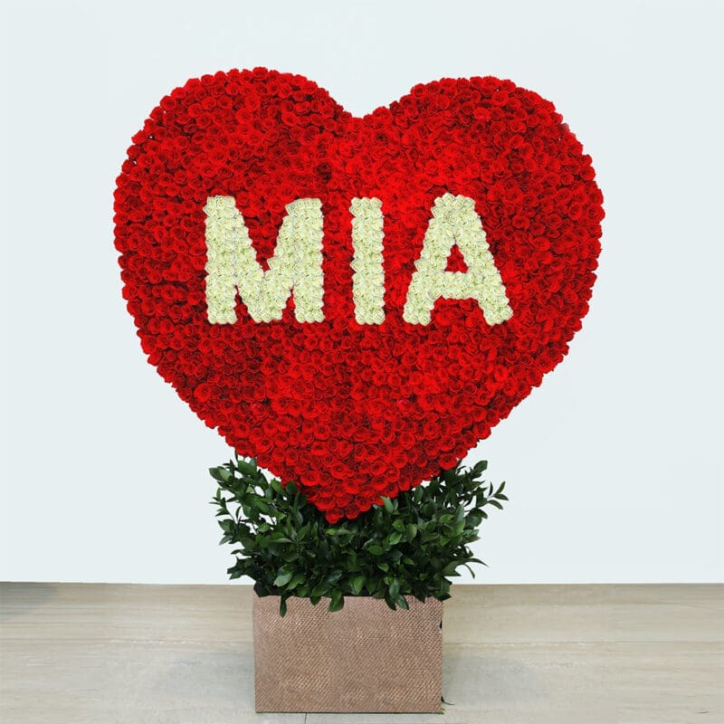 MIa MIa