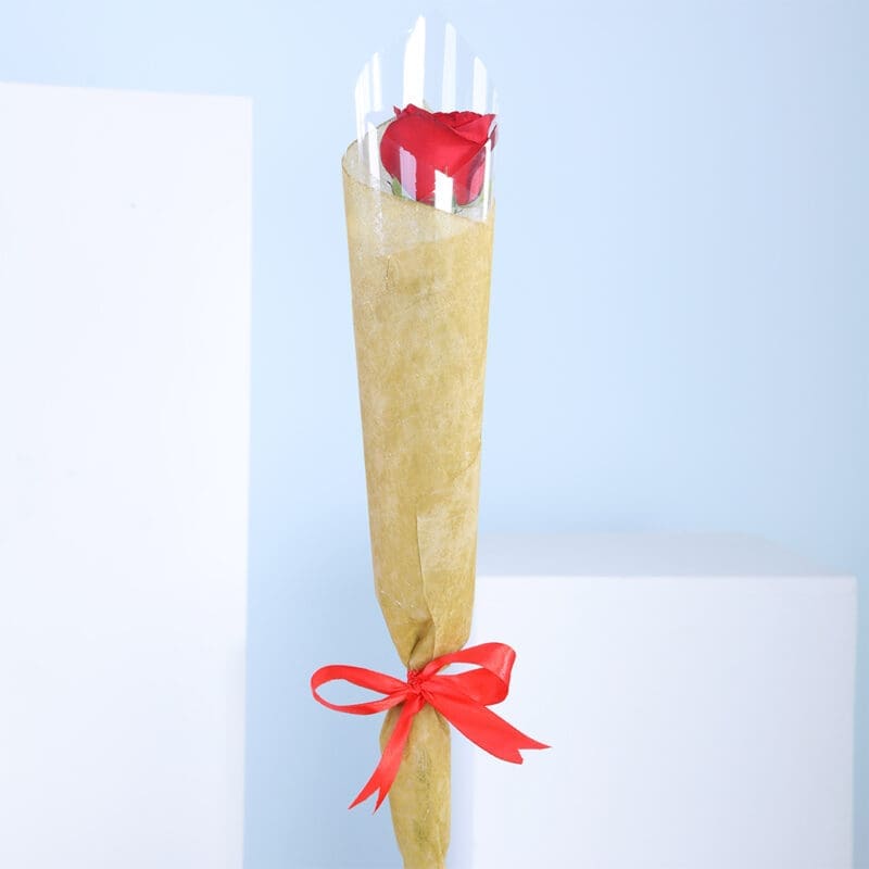 A wrapped bouquet of red roses tied with a red ribbon.