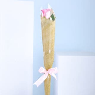 A single baby pink rose wrapped in paper with a pink ribbon.