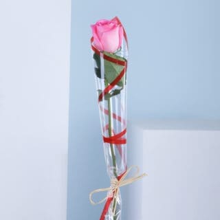 A single pink rose wrapped in cellophane tied with a straw bow.
