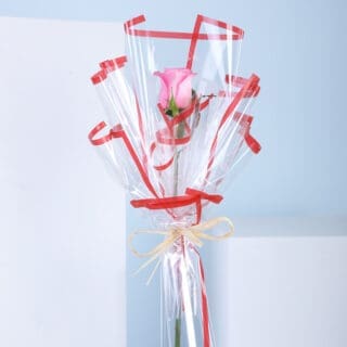 A single pink rose in a clear gift wrapping with red ribbons against a blue and white background.