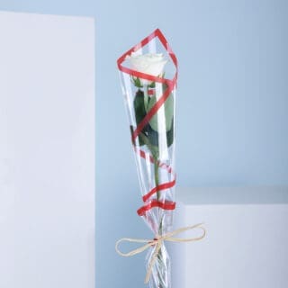A single white rose wrapped in cellophane with a red ribbon on a white ledge.
